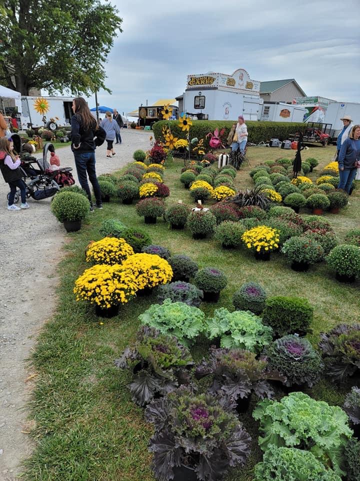 Harvest Extravaganza Event
